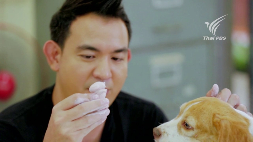 Foodwork : ปั้นดิน ให้เป็น(ไข่)ดาว