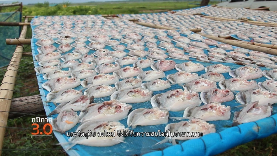 โนนสัง คลังปลาที่ราบสูง