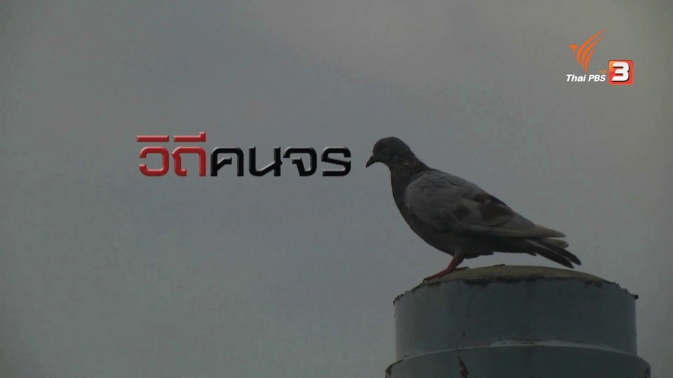 วิถีคนจร