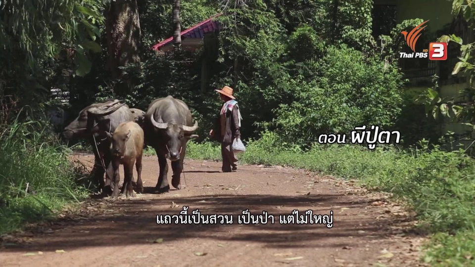 ผีปู่ตา