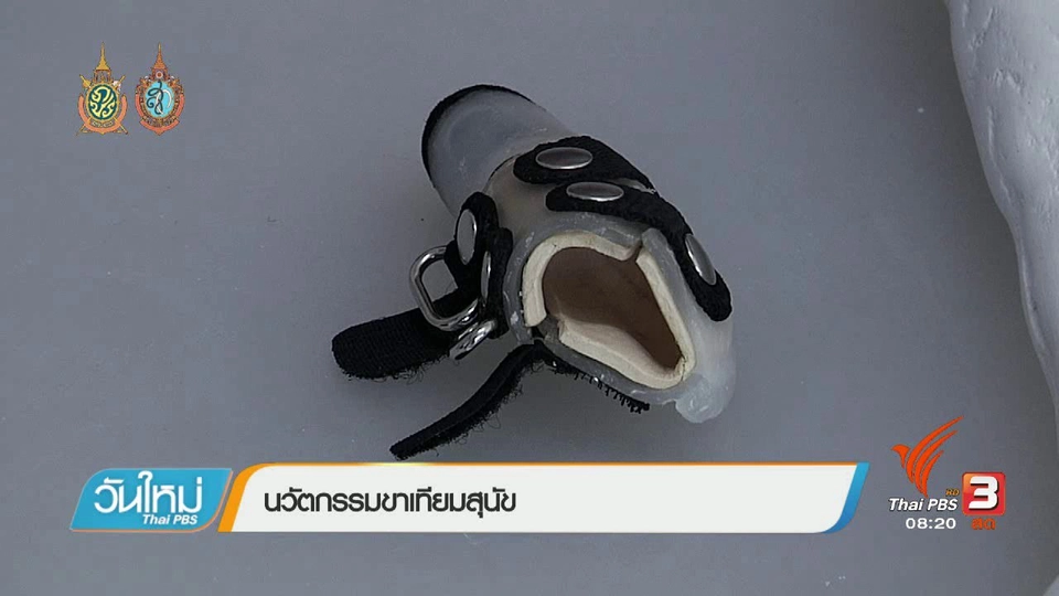 บอกเล่าข่าวดี : นวัตกรรมขาเทียมสุนัข