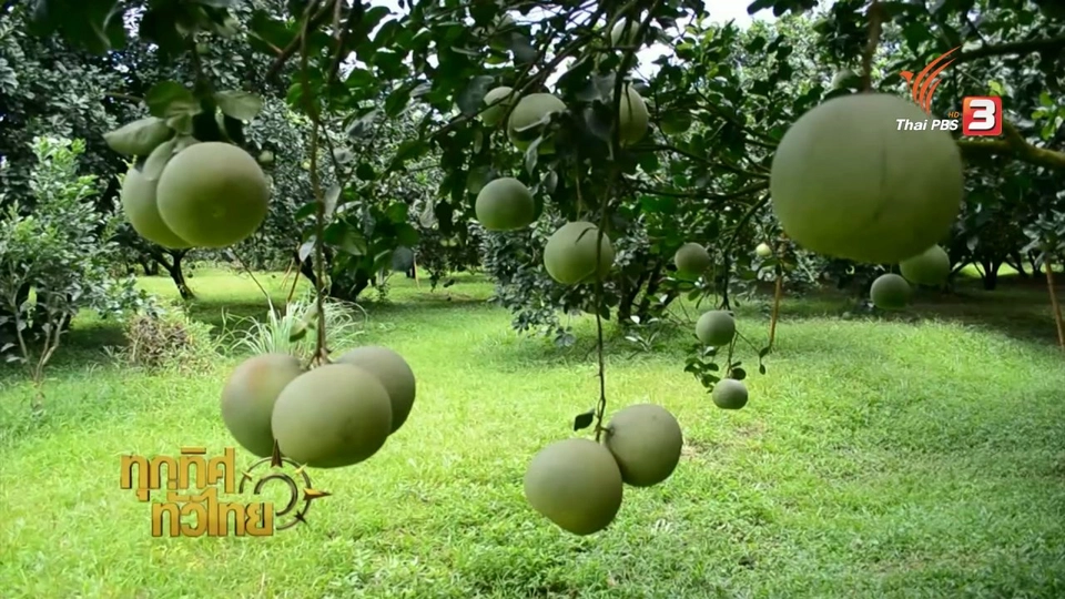 ประเด็นข่าว (23 ส.ค. 59)