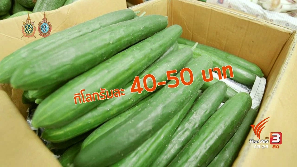 สายสืบเจาะตลาด :  สำรวจราคาผัก ปากคลองตลาด