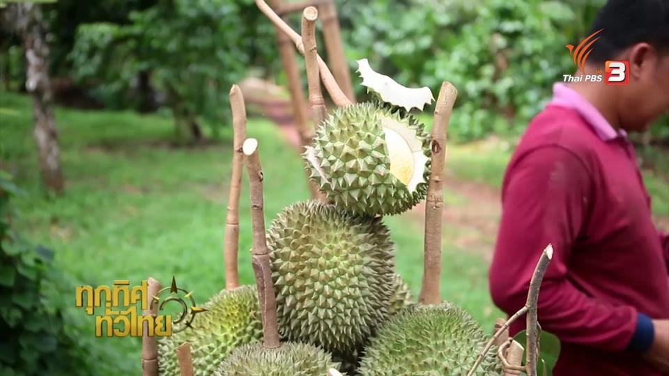 ประเด็นข่าว (24 ส.ค. 59)