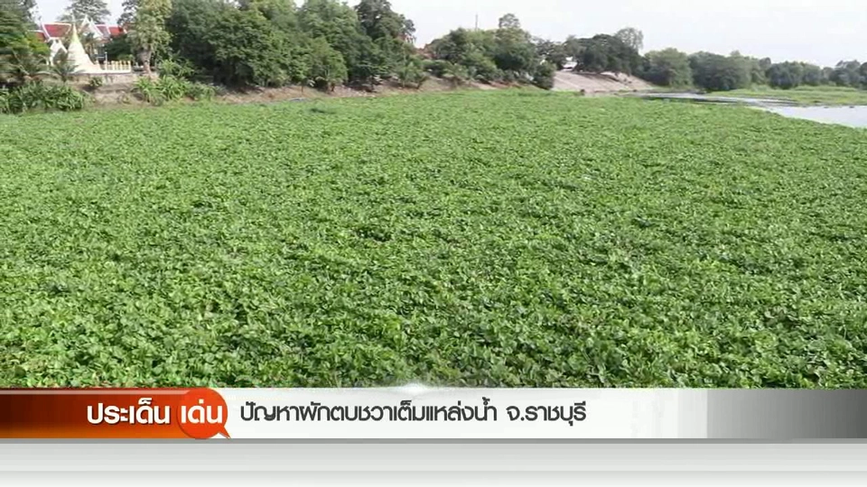 ปัญหาผักตบชวาเต็มแหล่งลำน้ำ จ.ราชบุรี