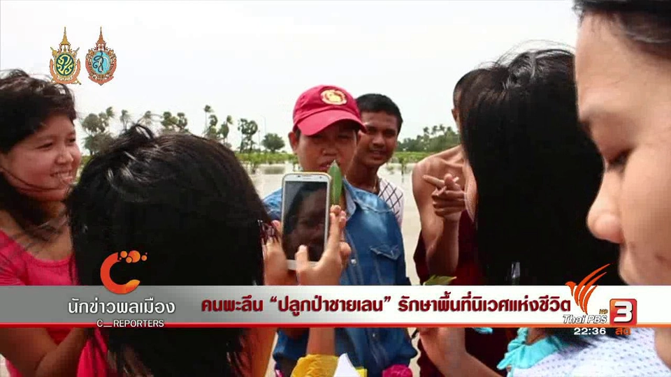 นักข่าวพลเมือง : คนพะลึน "ปลูกป่าชายเลน" รักษาพื้นที่นิเวศแห่งชีวิต