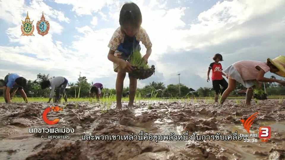 นักข่าวพลเมือง : เยาวชนชาวกวย เรียนรู้วิถีเกษตรอินทรีย์ จ.ศรีสะเกษ