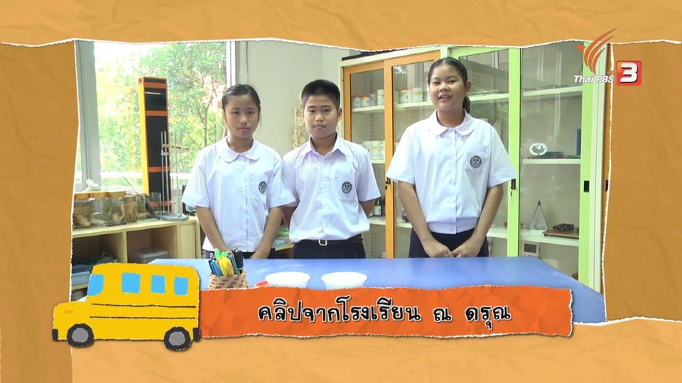 การพลางตัวของสัตว์