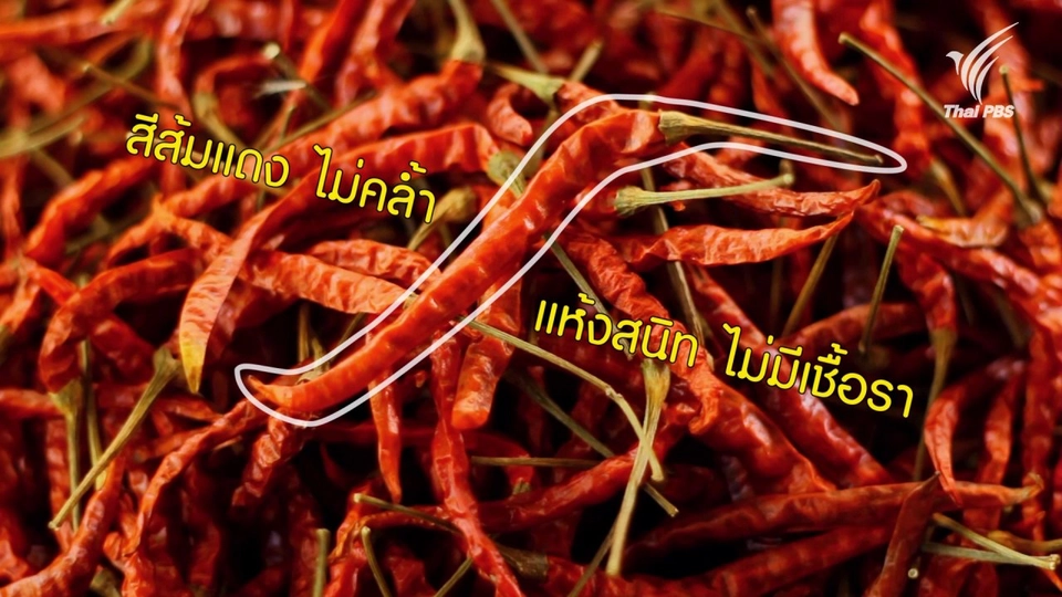 เคล็ดลับการเลือกพริก