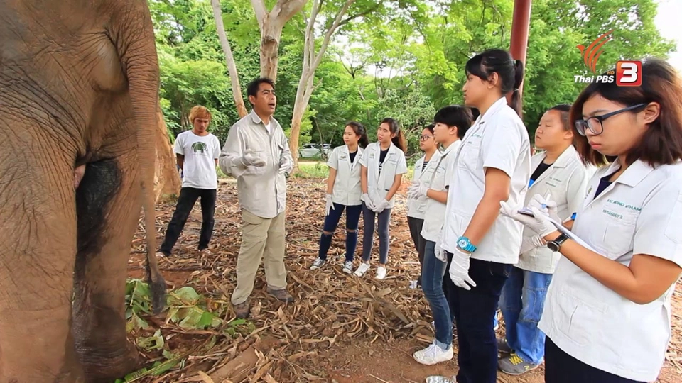 วิถีแห่งการเรียนรู้