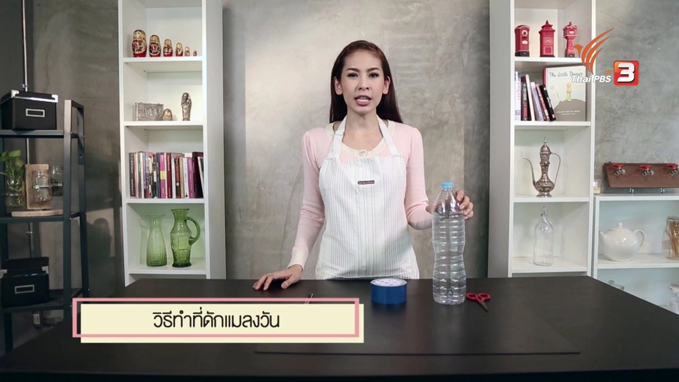 สุดยอดแม่บ้าน : ที่ดักแมลงวัน