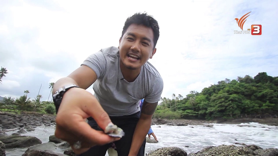 อิ่มสุขที่บ้านบางเบ้า หุบเขาล้อมทะเล จ.ตราด