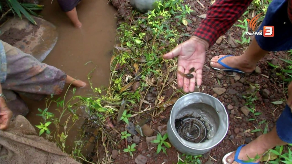 ตะลุยทั่วไทย : อีปุ่ม