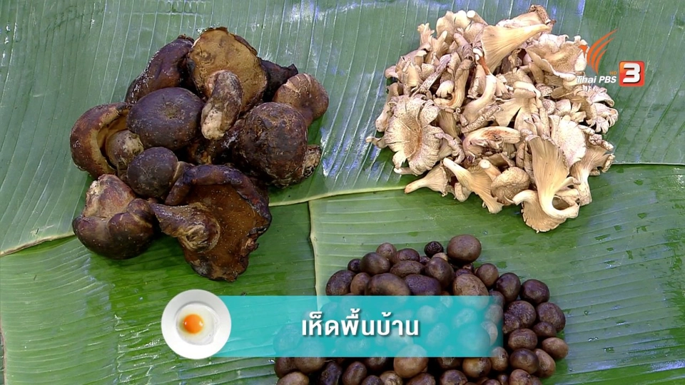 สาระน่ารู้ "เห็ดพื้นบ้าน"