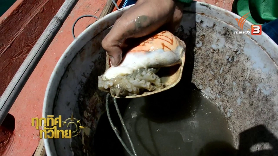 ประเด็นข่าว (7 ก.ย. 59)