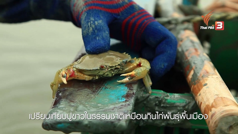 สวัสดีความสุขที่แหลมตะลุมพุก จ.นครศรีธรรมราช