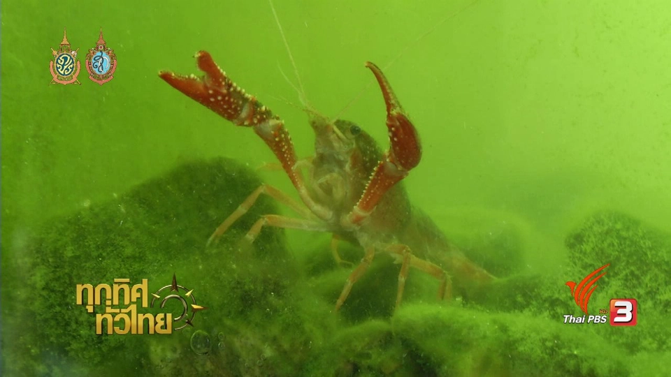 ประเด็นข่าว (9 ก.ย. 59)