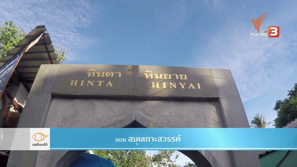 สมุยเกาะสวรรค์​