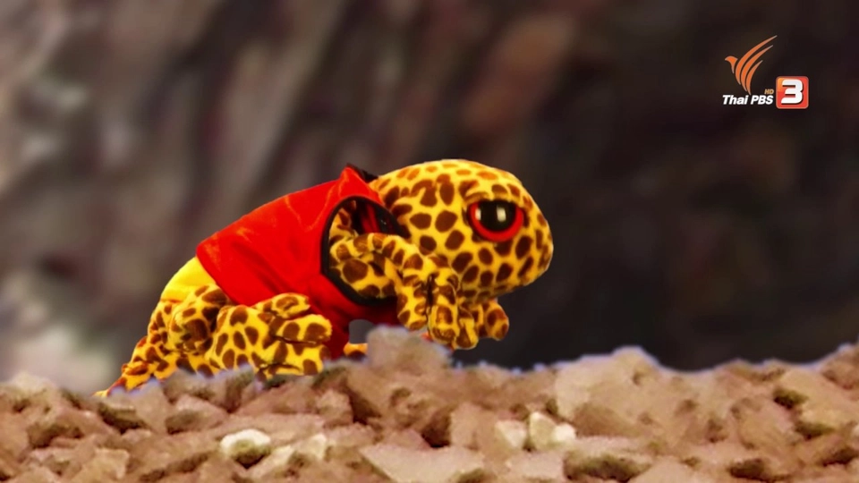 โดดี้พูดได้