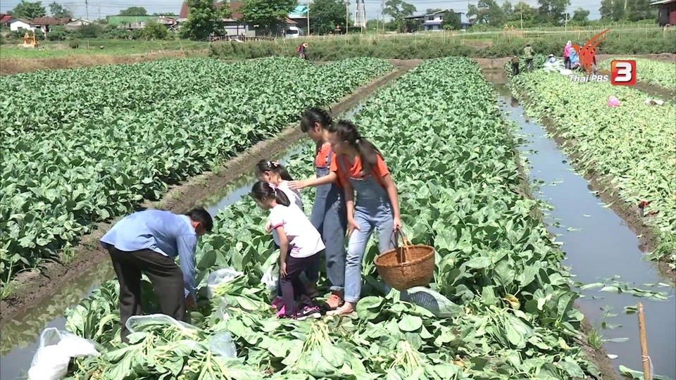 ก๋วยเตี๋ยวราดหน้า