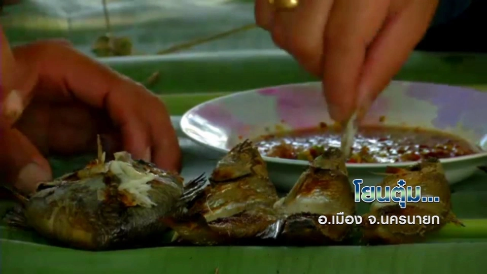 ตะลุยทั่วไทย : โยนตุ๋ม