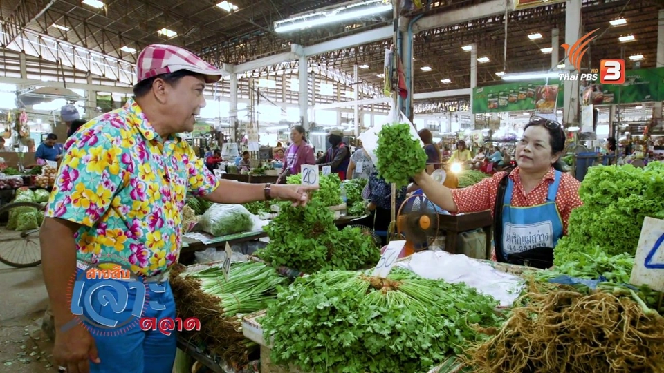 สายสืบเจาะตลาด : สำรวจราคาผัก ตลาดสุรนครเมืองใหม่ จ.นครราชสีมา