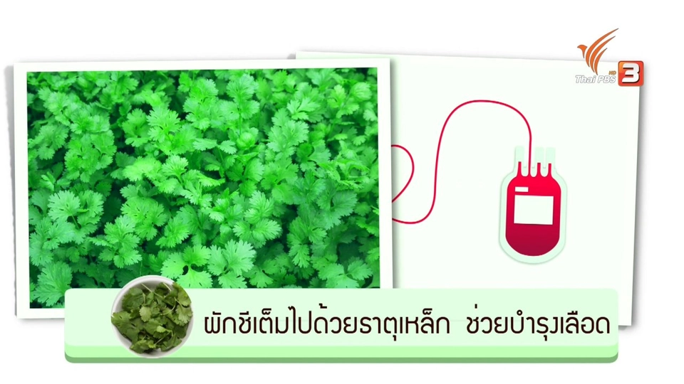 อาหารเป็นยา : ผักชี