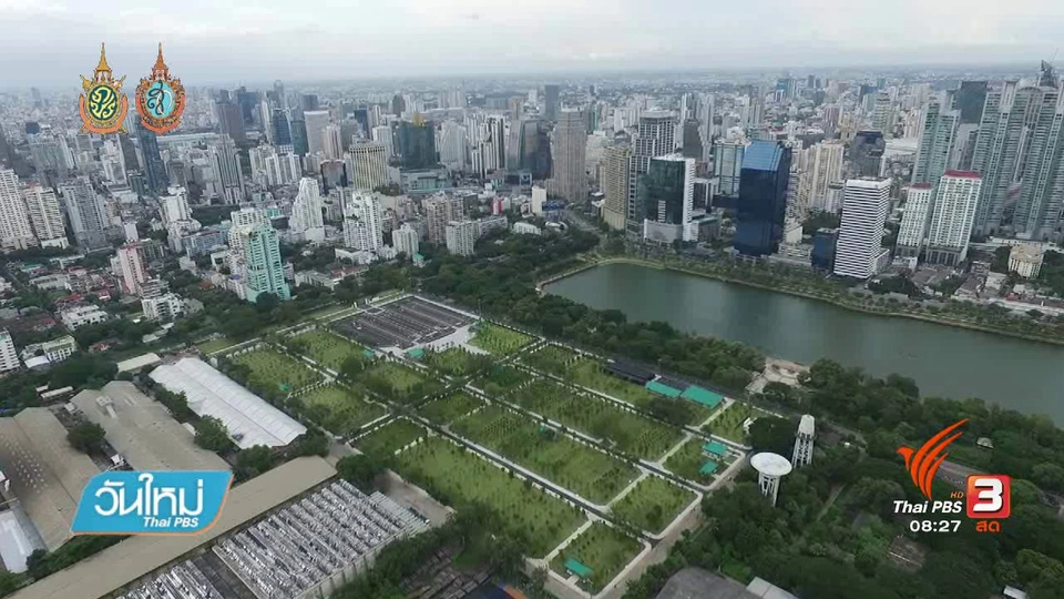 บอกเล่าข่าวดี : ชมพันธุ์ไม้หายากในสวนป่าเบญจกิติ