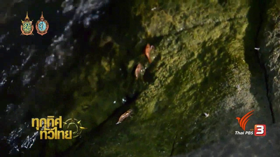 ประเด็นข่าว (14 ก.ย. 59)