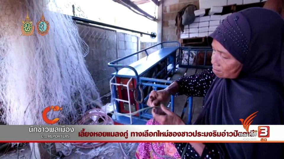 นักข่าวพลเมือง : เลี้ยงหอยแมลงภู่ ทางเลือกใหม่ของชาวประมงริมอ่าวปัตตานี