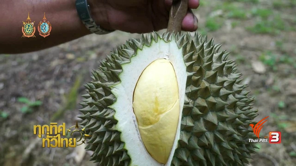 ประเด็นข่าว (15 ก.ย. 59)