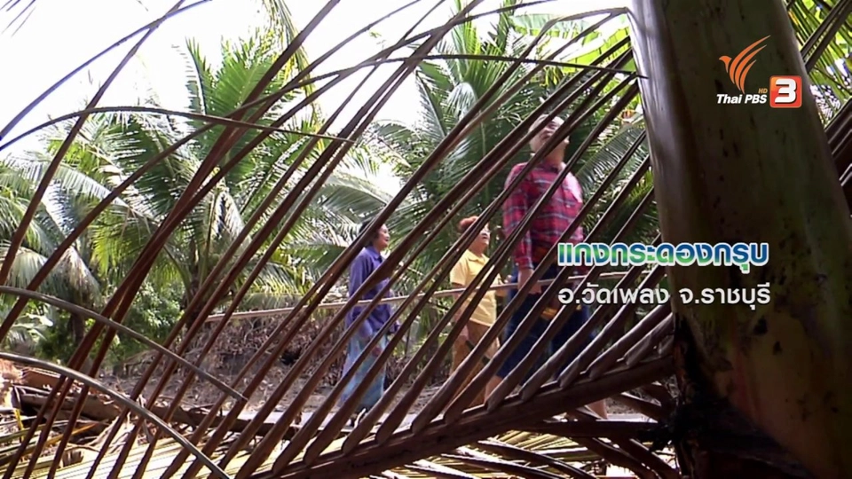 ตะลุยทั่วไทย : แกงกระดองกรุบ