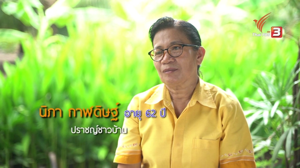 ปลูกถั่วงอกมือถือ