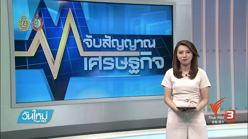 จับสัญญาณเศรษฐกิจ : สมาคมมันสำปะหลัง เสนอรัฐเยียวยาเกษตรกร หลังราคาตกต่ำ