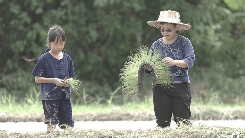 โรงเรียนชาวนาน้อย