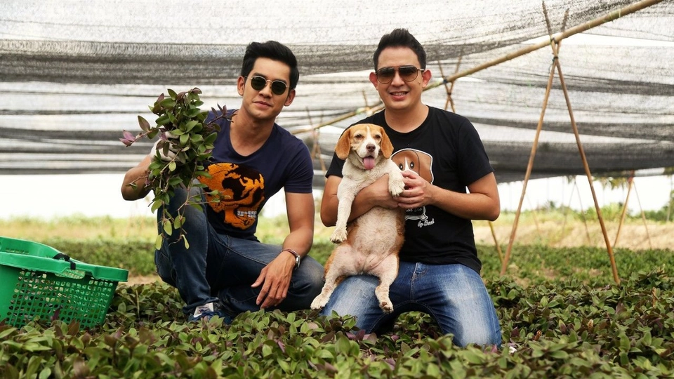 หญ้าไผ่น้ำ