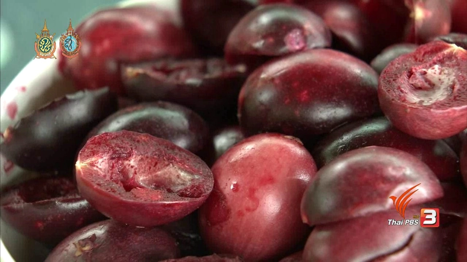 เมนูน้ำพริกมะนาวโห่