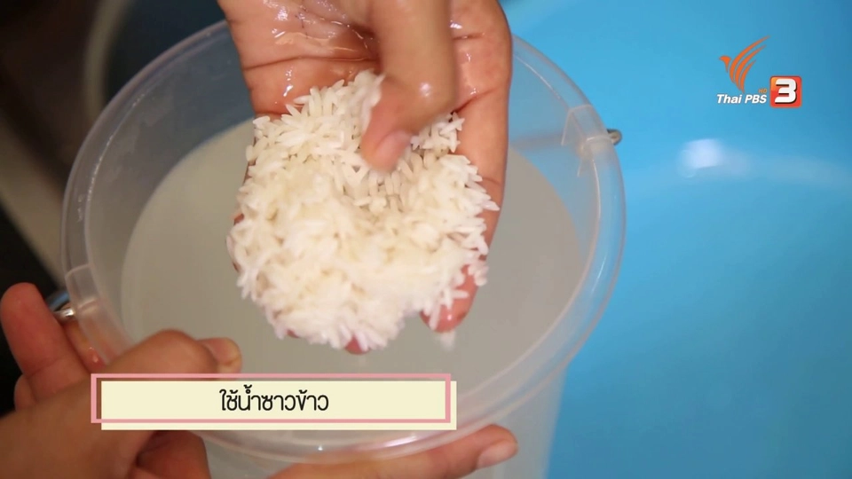 สุดยอดแม่บ้าน : ล้างผักอย่างไรให้ปลอดภัยจากสารพิษ