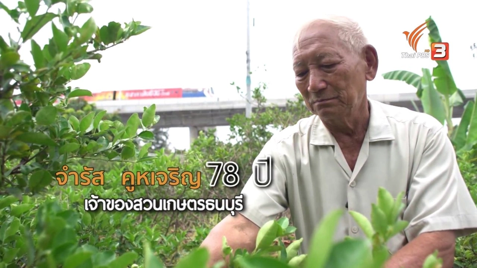 ลุงจำรัส