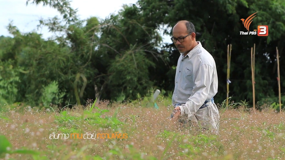 เส้นทางทาน..ด้วยความเพียร