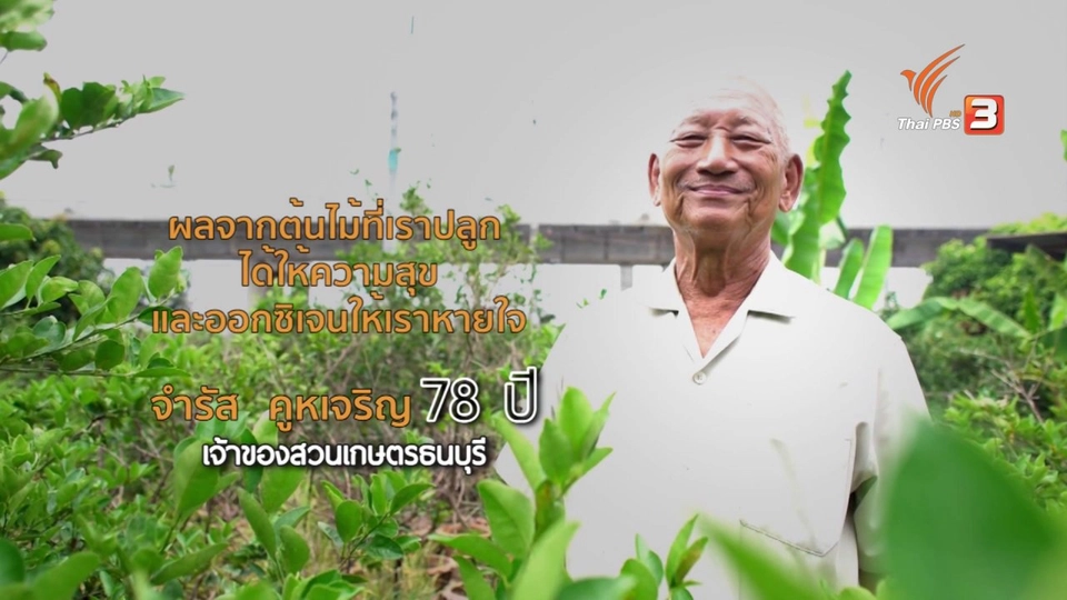 ลุงจำรัส (ผู้สร้างพื้นที่สีเขียว)