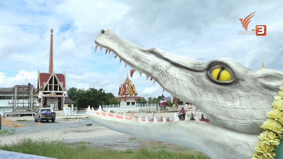 ชีวิตนี้ลิขิตเอง