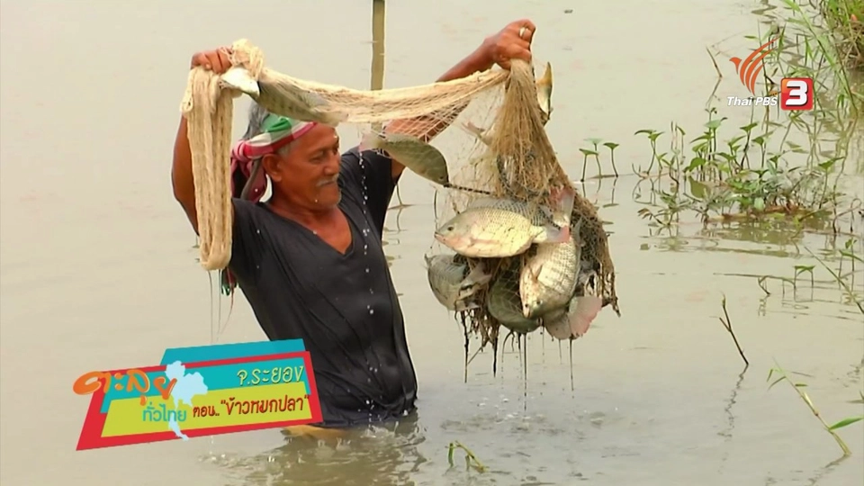 ข้าวหมกปลา