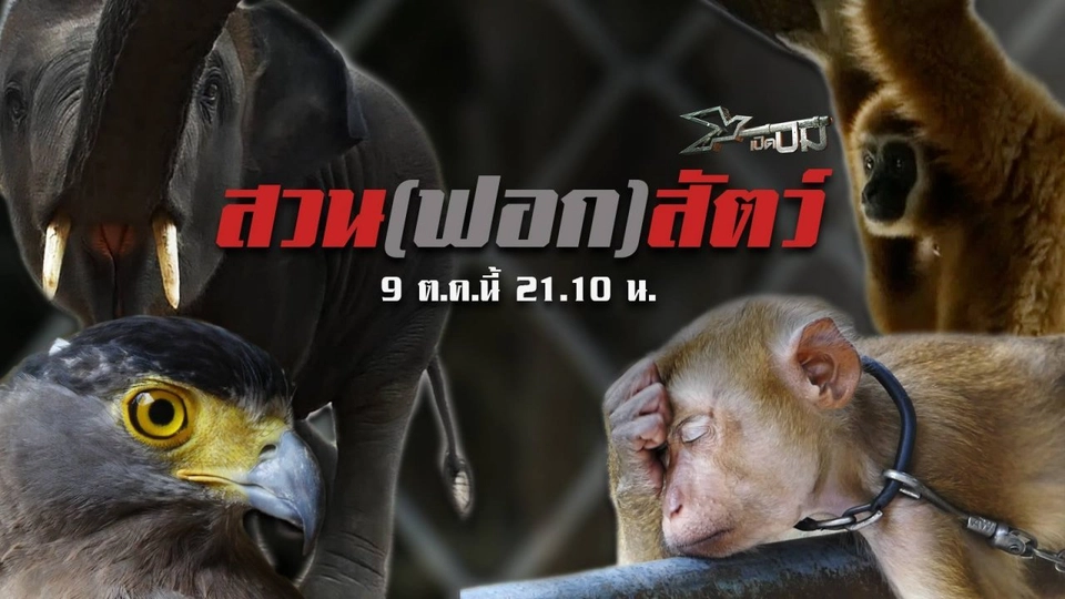 สวน(ฟอก)สัตว์