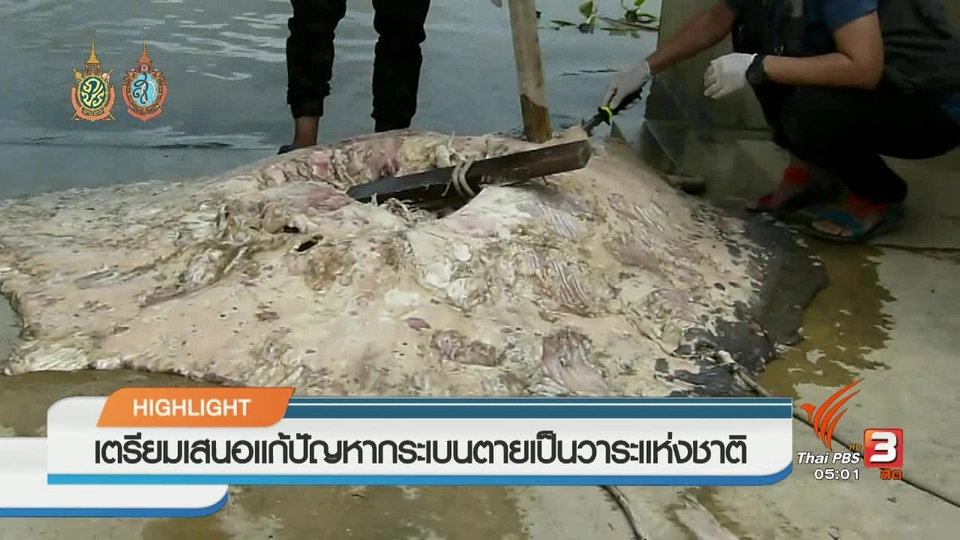 ประเด็นข่าว (10 ต.ค. 59)