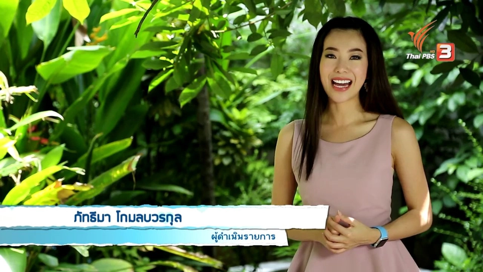 สมุนไพรกับยาแผนปัจจุบัน กินด้วยกันดีหรือไม่, แกงไทยต้านมะเร็ง