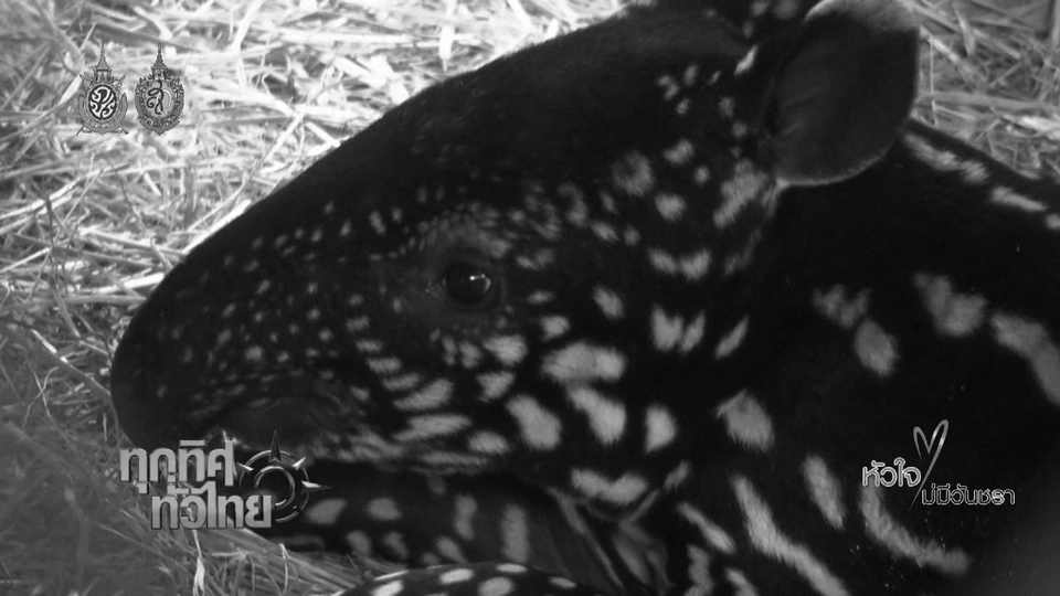 ประเด็นข่าว (12 ต.ค. 59)