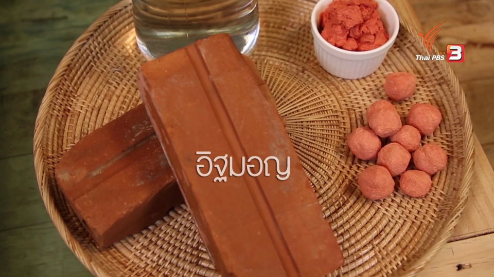 กำจัดลูกน้ำหรือยุงด้วยภูมิปัญญาชาวบ้าน