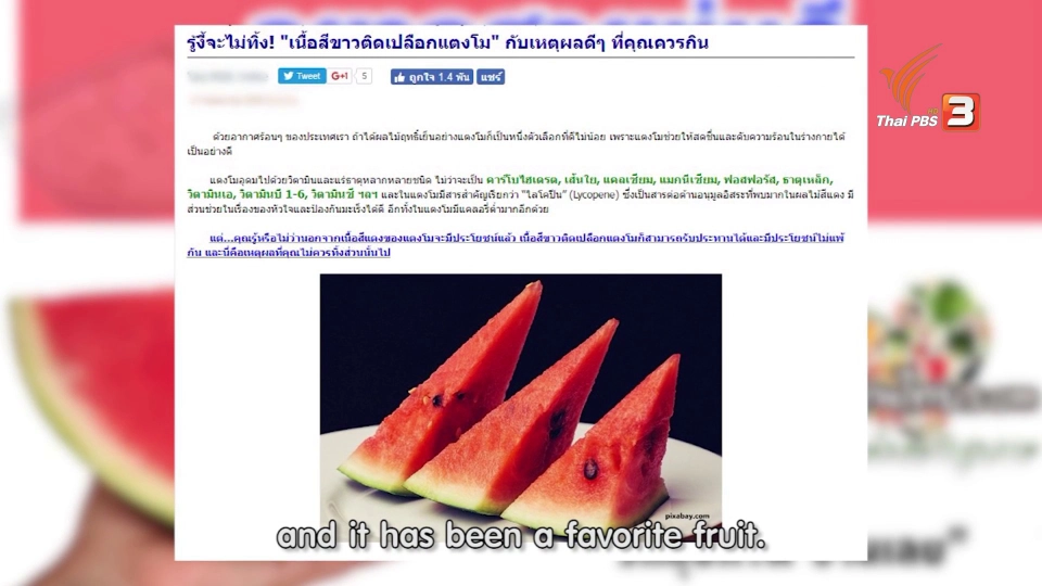 soเชี่ยว FAKE or FACT :  เปลือกสีขาวของแตงโมทานได้จริงหรือไม่