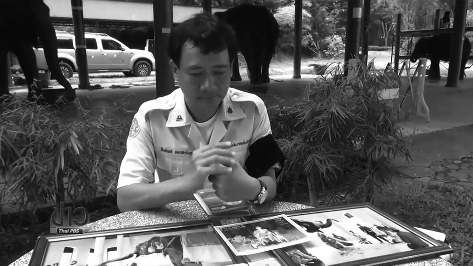 หมอดูแลช้างในหลวงที่ลำปาง